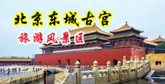 骚货尿尿视频中国北京-东城古宫旅游风景区